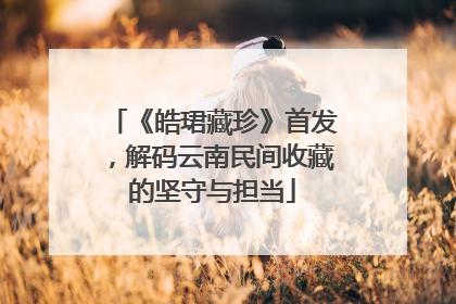 《皓珺藏珍》首发，解码云南民间收藏的坚守与担当
