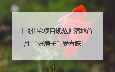 《住宅项目规范》落地首月 “好房子”受青睐