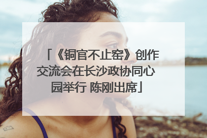 《铜官不止窑》创作交流会在长沙政协同心园举行 陈刚出席