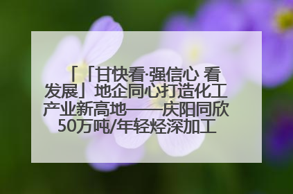 「甘快看·强信心 看发展」地企同心打造化工产业新高地——庆阳同欣50万吨/年轻烃深加工项目建设见闻