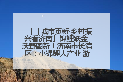 「城市更新·乡村振兴看济南」锦鲤跃金 沃野图新！济南市长清区：小锦鲤大产业 游出农旅新风景