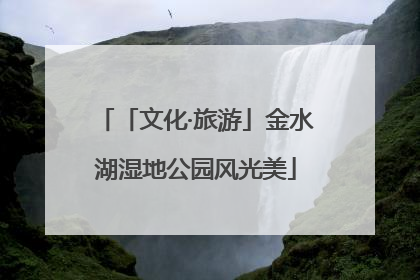 「文化·旅游」金水湖湿地公园风光美