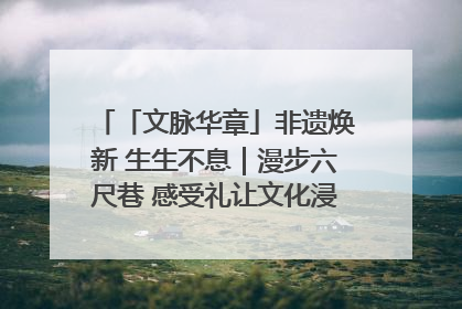 「文脉华章」非遗焕新 生生不息｜漫步六尺巷 感受礼让文化浸润的“巷”往生活