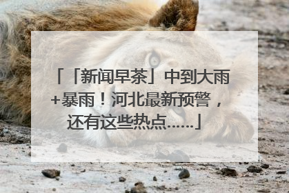 「新闻早茶」中到大雨+暴雨！河北最新预警，还有这些热点……