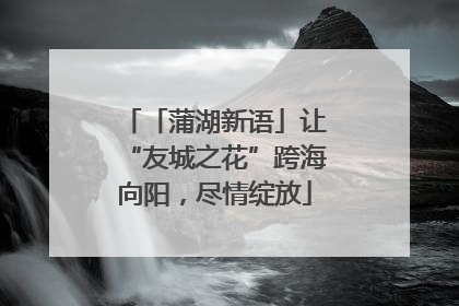 「蒲湖新语」让“友城之花”跨海向阳，尽情绽放