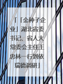 「金种子企业」湖北省委书记、省人大常委会主任王忠林一行到依瑞德调研