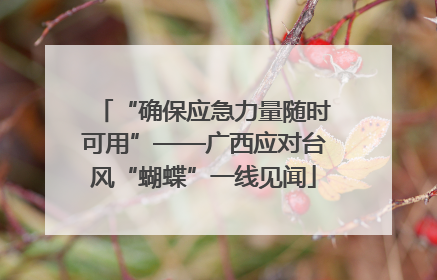 “确保应急力量随时可用”——广西应对台风“蝴蝶”一线见闻