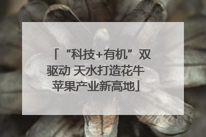 “科技+有机”双驱动 天水打造花牛苹果产业新高地