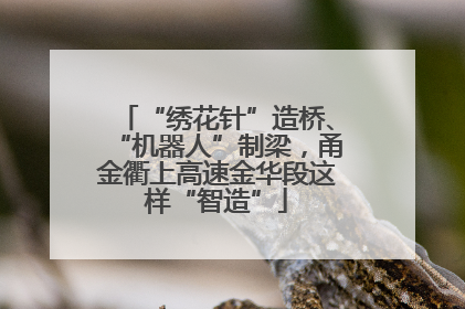 “绣花针”造桥、“机器人”制梁，甬金衢上高速金华段这样“智造”