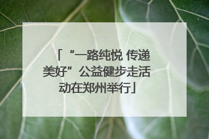 “一路纯悦 传递美好”公益健步走活动在郑州举行