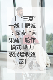 “三夏”一线丨肥城：探索“菌果蔬”轮作模式 助力农民增收致富