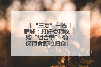 “三夏”一线丨肥城：打好夏粮收购“组合拳” 确保粮食颗粒归仓