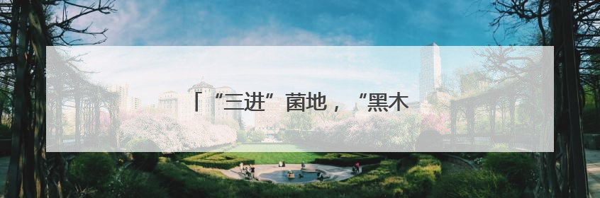 “三进”菌地，“黑木耳法庭”呵护乡村梦想