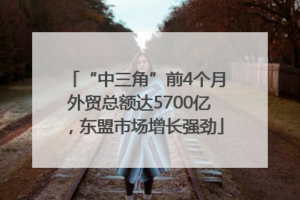 “中三角”前4个月外贸总额达5700亿，东盟市场增长强劲
