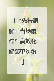 “先行调解＋当场履行”高效化解邻里纠纷