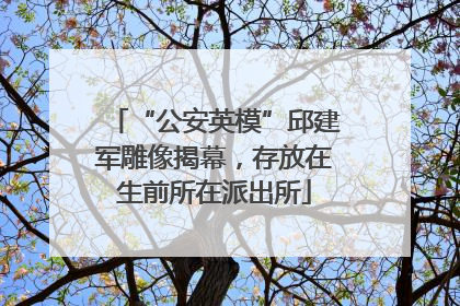 “公安英模”邱建军雕像揭幕，存放在生前所在派出所
