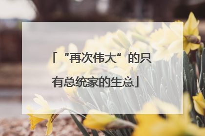 “再次伟大”的只有总统家的生意
