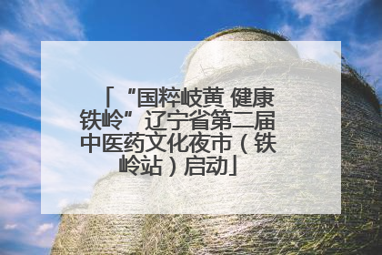 “国粹岐黄 健康铁岭”辽宁省第二届中医药文化夜市（铁岭站）启动