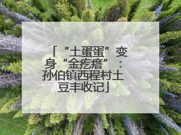 “土蛋蛋”变身“金疙瘩”：孙伯镇西程村土豆丰收记