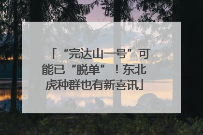 “完达山一号”可能已“脱单”！东北虎种群也有新喜讯