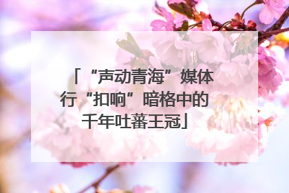 “声动青海”媒体行“扣响”暗格中的千年吐蕃王冠