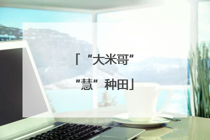 “大米哥”“慧”种田