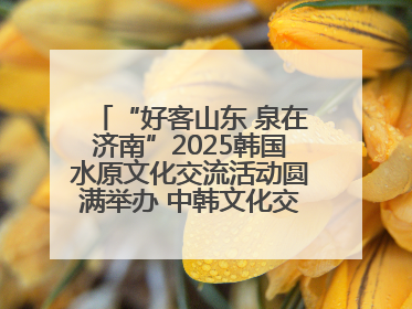 “好客山东 泉在济南”2025韩国水原文化交流活动圆满举办 中韩文化交流再添新彩