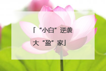 “小白”逆袭大“盈”家