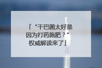 “干巴菌太好是因为打药施肥？”权威解读来了