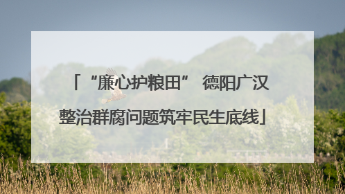 “廉心护粮田” 德阳广汉整治群腐问题筑牢民生底线