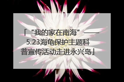 “我的家在南海”——5.23海龟保护主题科普宣传活动走进永兴岛
