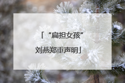 “扁担女孩”刘燕郑重声明