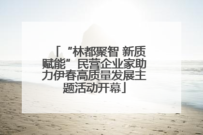 “林都聚智 新质赋能”民营企业家助力伊春高质量发展主题活动开幕