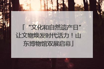 “文化和自然遗产日”让文物焕发时代活力！山东博物馆双展启幕