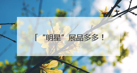 “明星”展品多多！直-20、直-9ME首次亮相巴黎航展