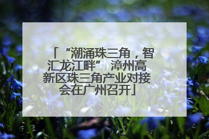 “潮涌珠三角，智汇龙江畔” 漳州高新区珠三角产业对接会在广州召开