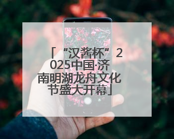 “汉酱杯”2025中国·济南明湖龙舟文化节盛大开幕