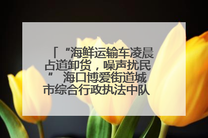 “海鲜运输车凌晨占道卸货，噪声扰民” 海口博爱街道城市综合行政执法中队：将联合交警加强长堤路一带巡逻