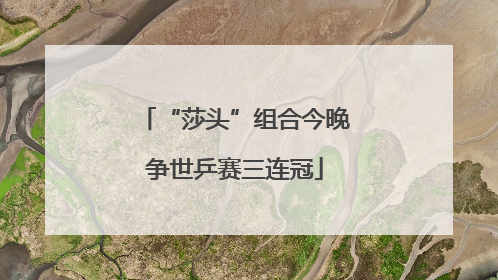 “莎头”组合今晚争世乒赛三连冠
