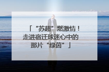 “苏超”燃激情！走进宿迁球迷心中的那片“绿茵”