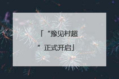 “豫见村超”正式开启