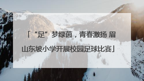“足”梦绿茵，青春激扬 眉山东坡小学开展校园足球比赛