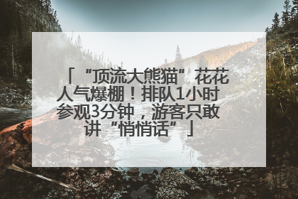 “顶流大熊猫”花花人气爆棚！排队1小时参观3分钟，游客只敢讲“悄悄话”