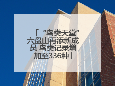 “鸟类天堂”六盘山再添新成员 鸟类记录增加至336种