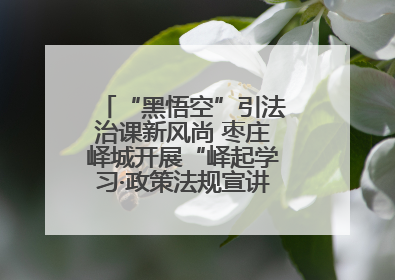 “黑悟空”引法治课新风尚 枣庄峄城开展“峄起学习·政策法规宣讲面对面”活动