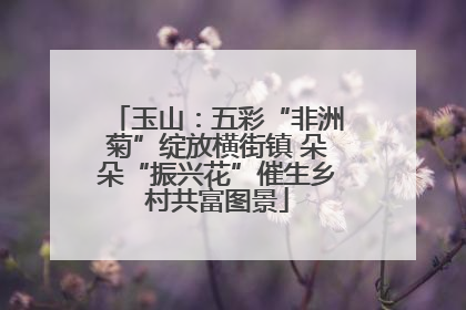玉山：五彩“非洲菊”绽放横街镇 朵朵“振兴花”催生乡村共富图景