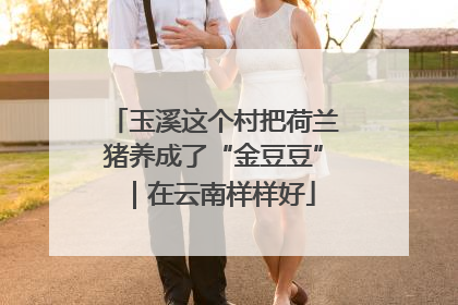 玉溪这个村把荷兰猪养成了“金豆豆”｜在云南样样好