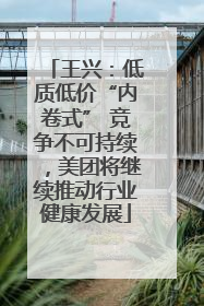 王兴：低质低价“内卷式” 竞争不可持续，美团将继续推动行业健康发展