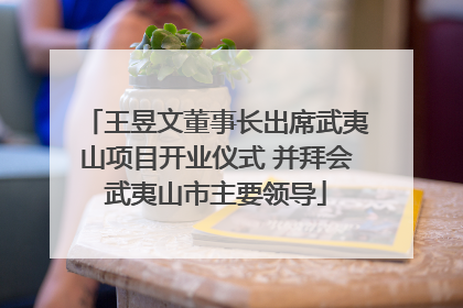 王昱文董事长出席武夷山项目开业仪式 并拜会武夷山市主要领导