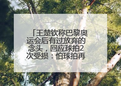 王楚钦称巴黎奥运会后有过放弃的念头，回应球拍2次受损：怕球拍再坏用副板练习